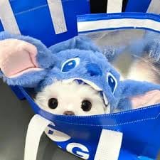 Indah Cahyani avatar